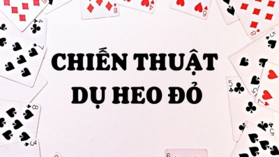 Hướng dẫn chi tiết cách dụ heo đỏ để chặt trong game bài